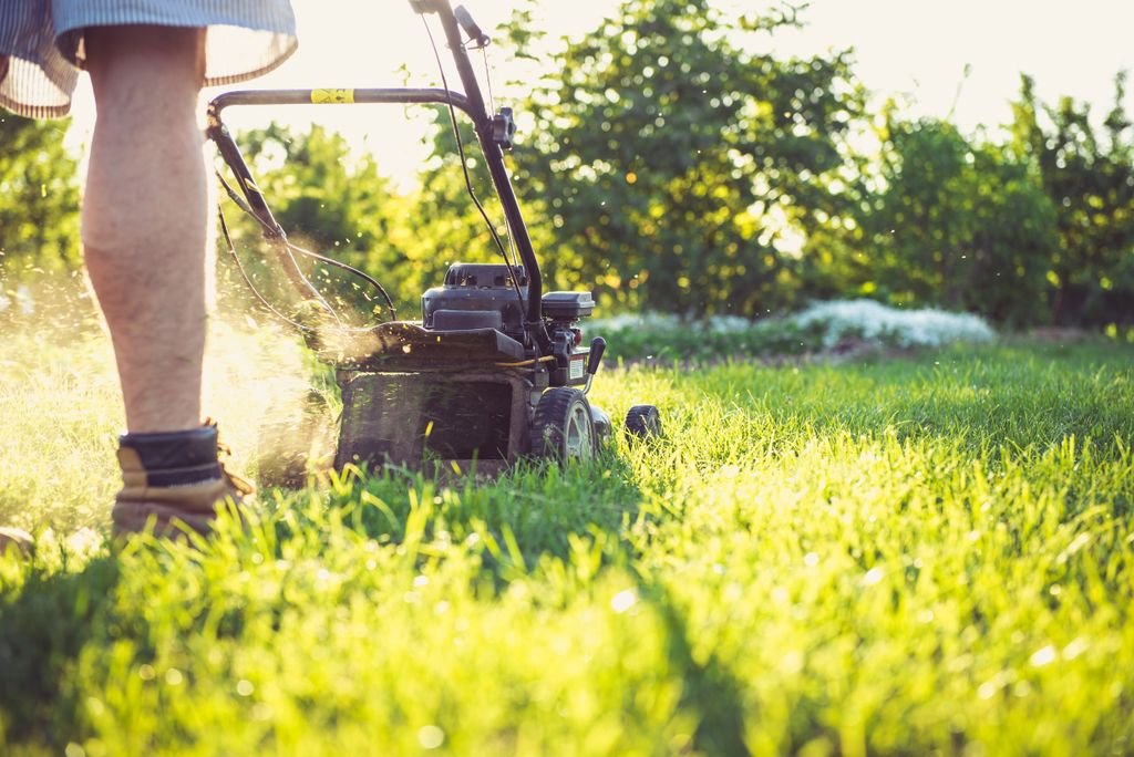 Fall Lawn Care: 10 Essential Tasks to Prepare Your Grass for Winter A person operates a lawnmower on a sunny day, trimming grass in a garden setting.