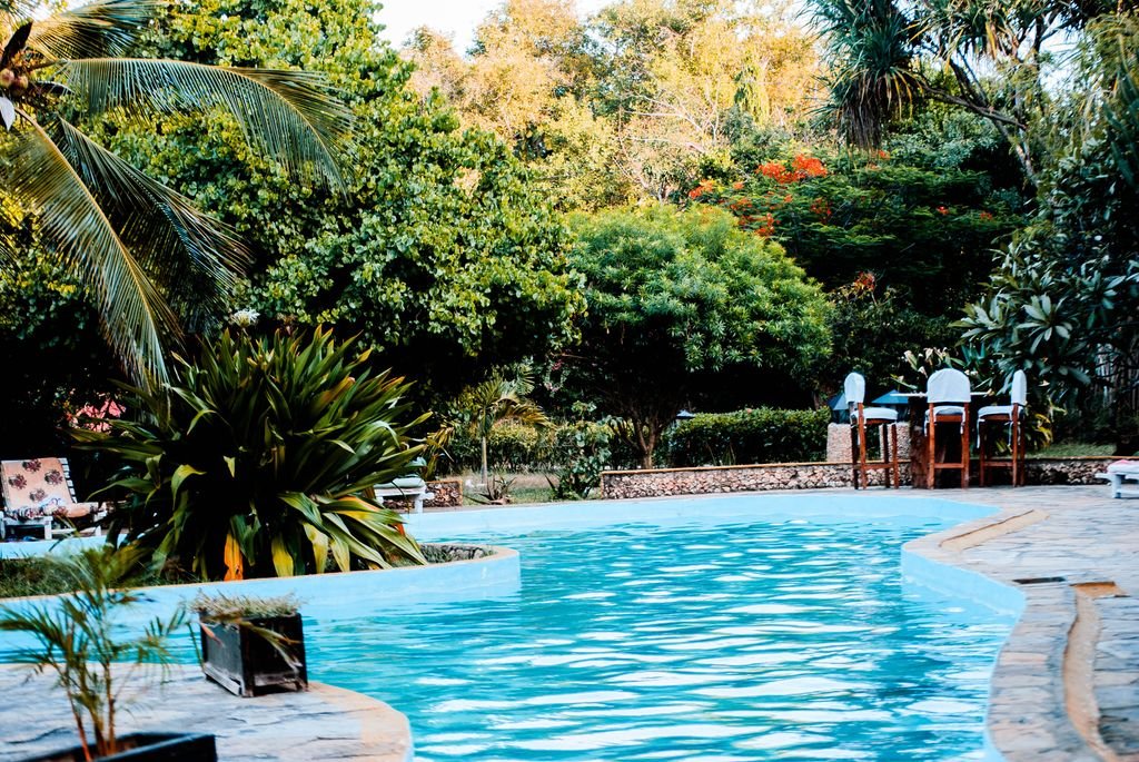 A serene poolside oasis surrounded by lush greenery, perfect for relaxation and leisure.