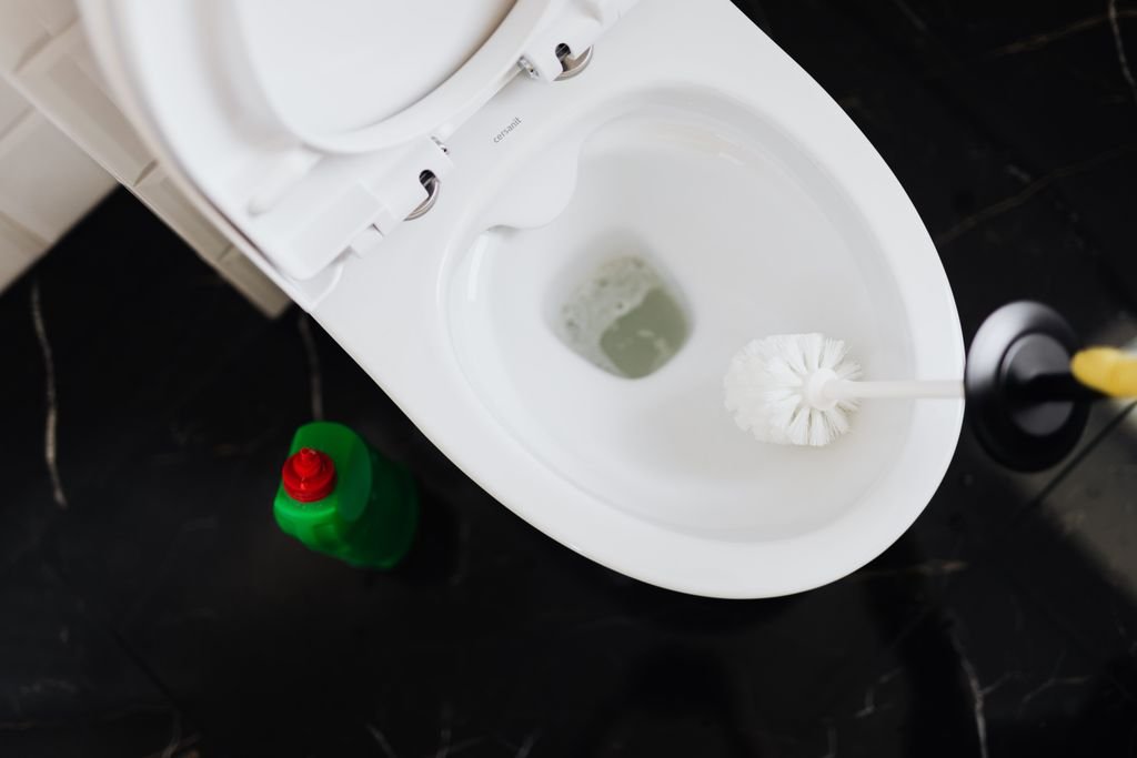 How to Unclog a Toilet