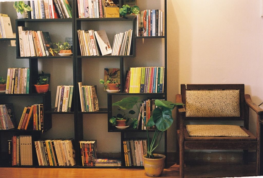Warm living room scene featuring a bookshelf, armchair, and potted plants.